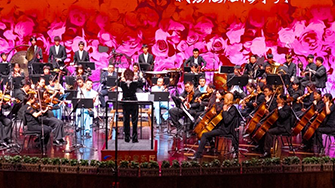 音乐表演（器乐方向）专业：五年制大专、三年制大专